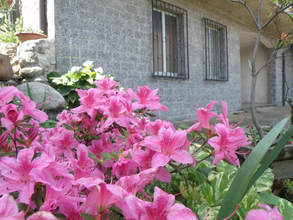B&B Villa Mirella Casnate Con Bernate Екстер'єр фото