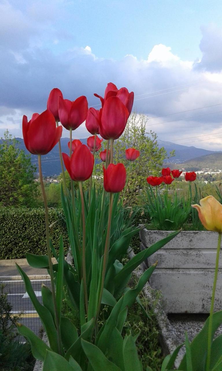 B&B Villa Mirella Casnate Con Bernate Екстер'єр фото